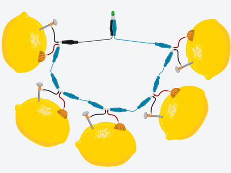 Curso STEAM desarrollado por Biobot