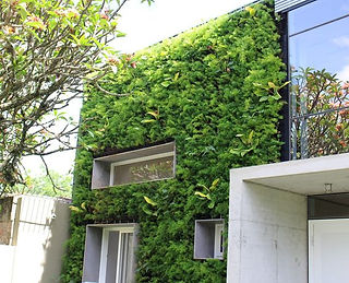 Jardim Vertical - Fachada