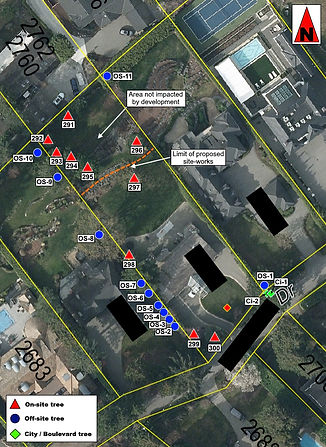 sitemap.jpg