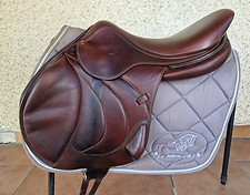 n°1293 antares a.jpg