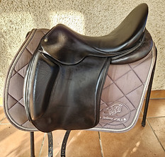 n°1210 aulion a.jpg