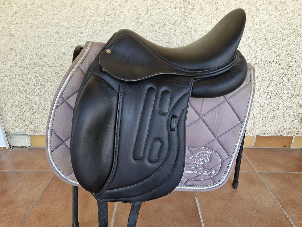 n°1147 gbs a