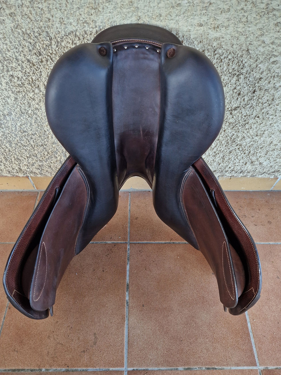 n°1249 forestier f