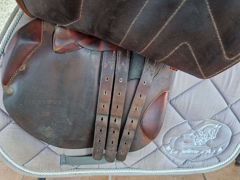 n°1335 renaissance b