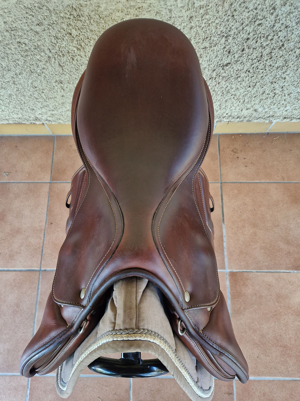 n°1309 renaissance c