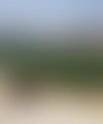 Blessings and Curses - Ki Tavo