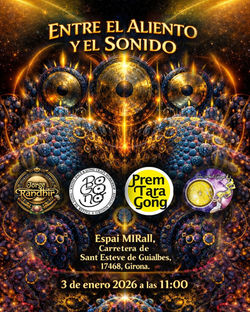 WhatsApp Image 2025-12-27 at 17.01.32