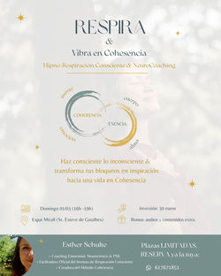 WhatsApp Image 2026-02-19 at 21.50.10