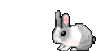 rabbit-hare.gif