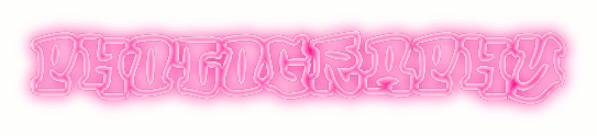 cooltext472318171050656.gif