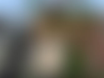 Build sur le serveur PaladamsV4