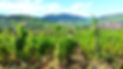 20150721_170138.jpg