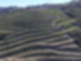 100092814_1094339610934402_7292589924392370176_o.jpg