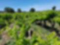 20160627_125341.jpg