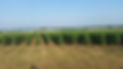 20150717_082525.jpg