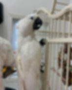 IMG_5111.jpeg