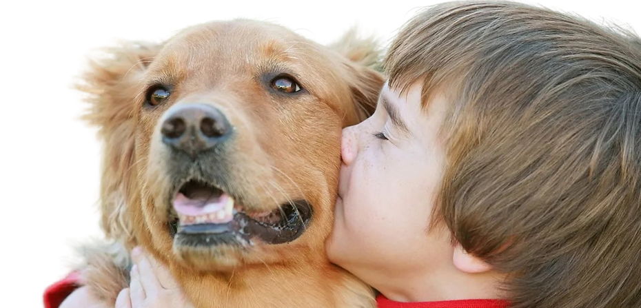 Boy hugging a well-trained dog