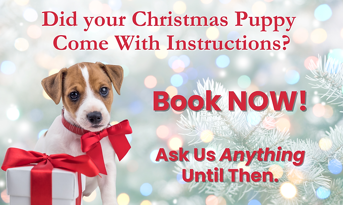 Smart Paws Puppy Landing Page Jan 2026 (3000 x 1800 px) (2).png