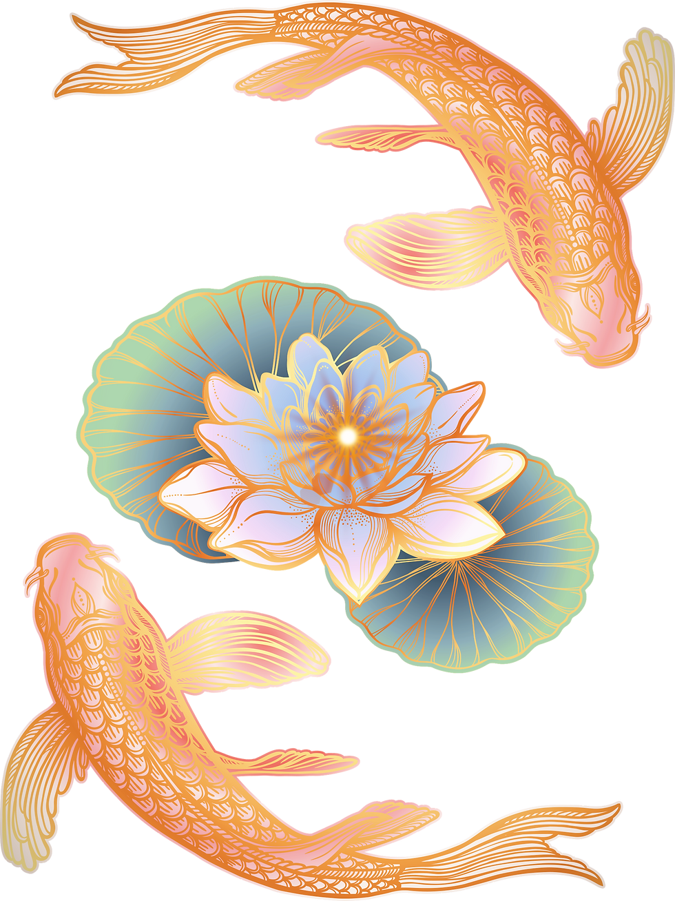 koi fish circling lotus