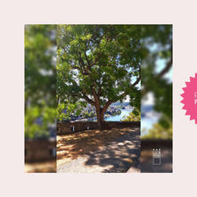 ••• Ik heb vertrouwen in alles wat langzaam begint 🐌*