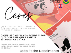 O que são os Panda Bonds e por que o Brasil quer emitir títulos na China