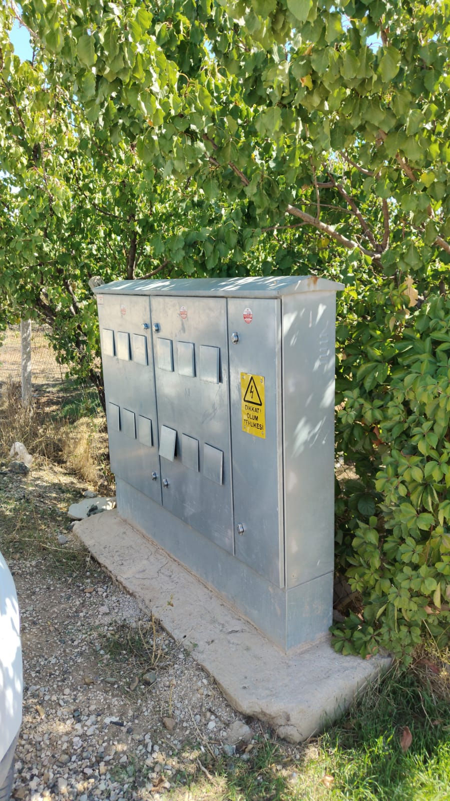 WhatsApp Image 2024-09-29 at 23.44.16.jpeg