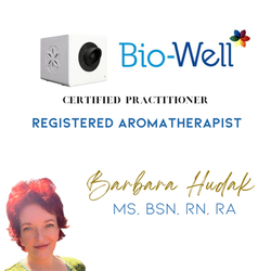 BioWell™ Chakra Scan Sedona AZ Barbara Hudak, RN