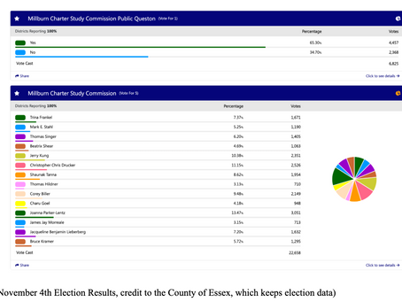 Election Results: Charter Study Commission