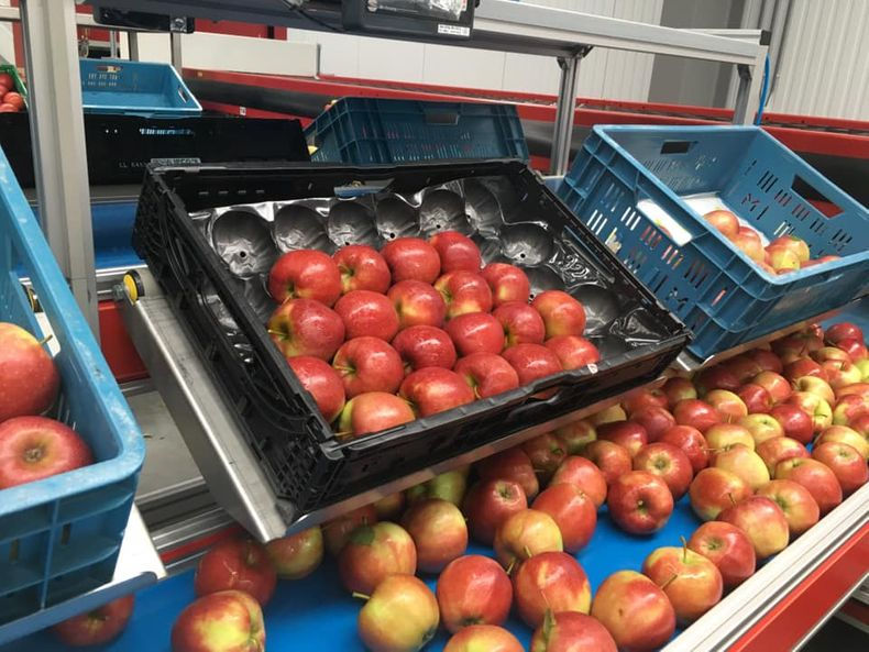 Mac Queen Fruit verpakken