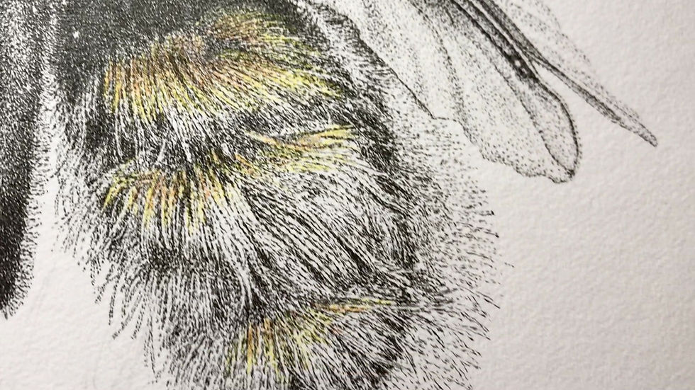 Thumbnail: 'Lazy Daze...'  Original Artwork