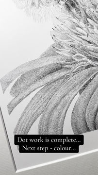 Thumbnail: 'Amber Nectar...' Limited Edition Print (Black and White)