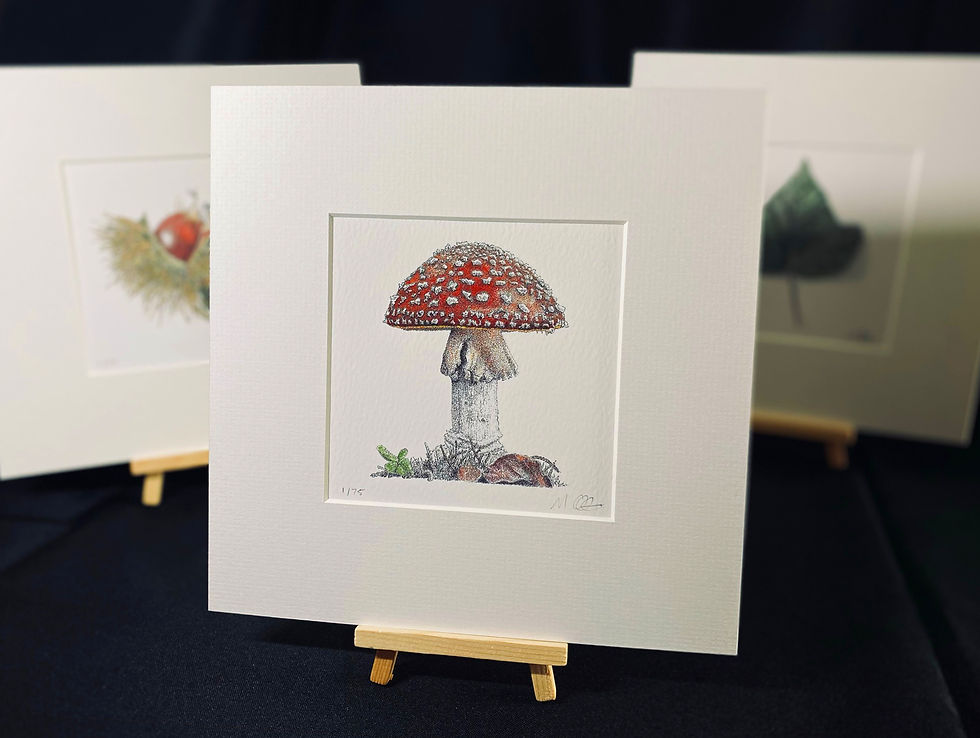 Thumbnail: 'Mushroom...' - Woodland Collection