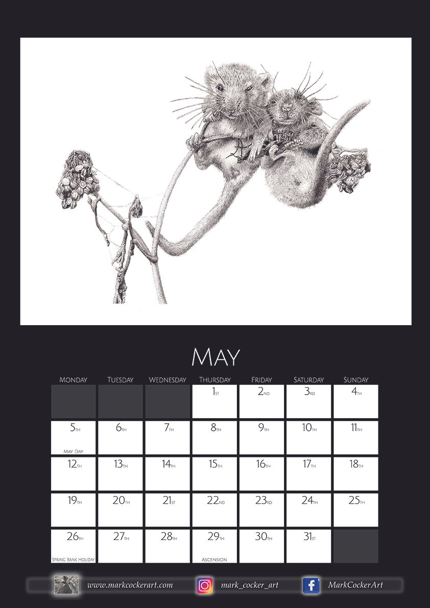 Thumbnail: Mark Cocker Art Calendar 2025