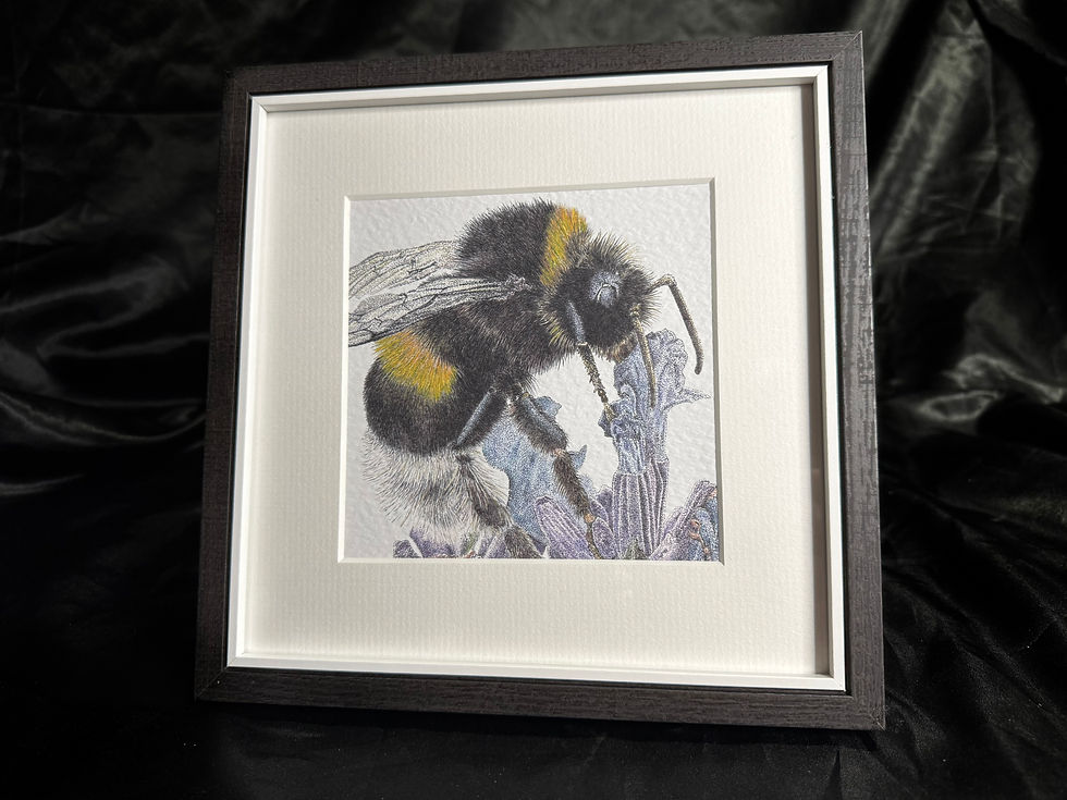 Thumbnail: 'Bumble Bee...' Details Collection Print Edition 2