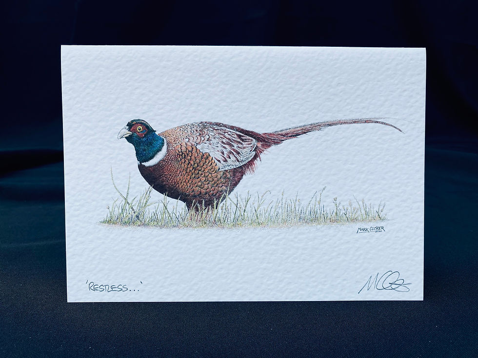 Thumbnail: 'Restless...' Signed Greetings Card