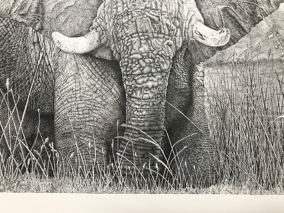 Thumbnail: 'Hopeful...' Limited Edition Print
