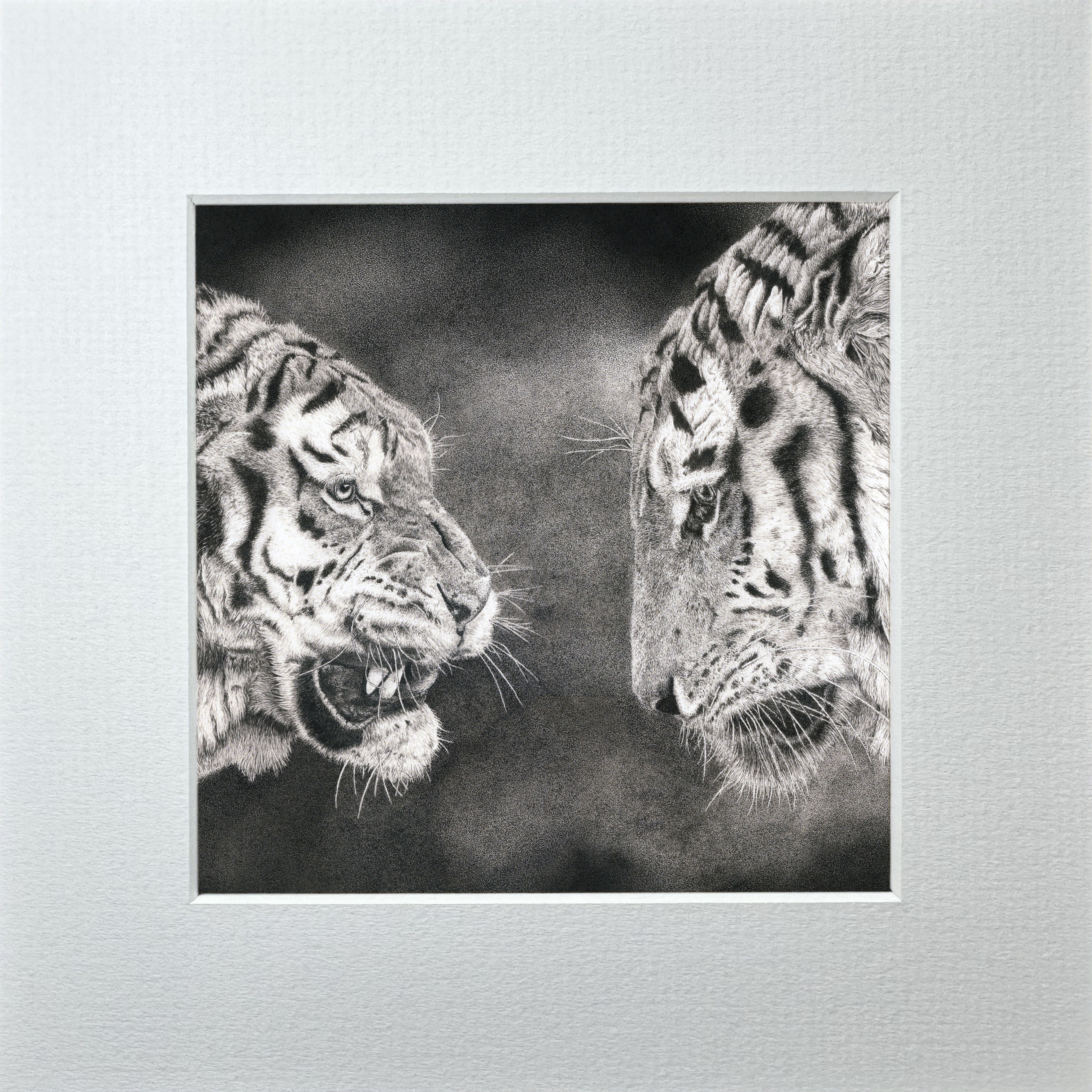 'Patience...' Details Collection Print Edition 3