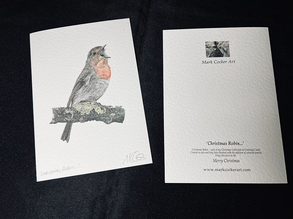 Thumbnail: 'Christmas Robin...' Signed Greetings Card