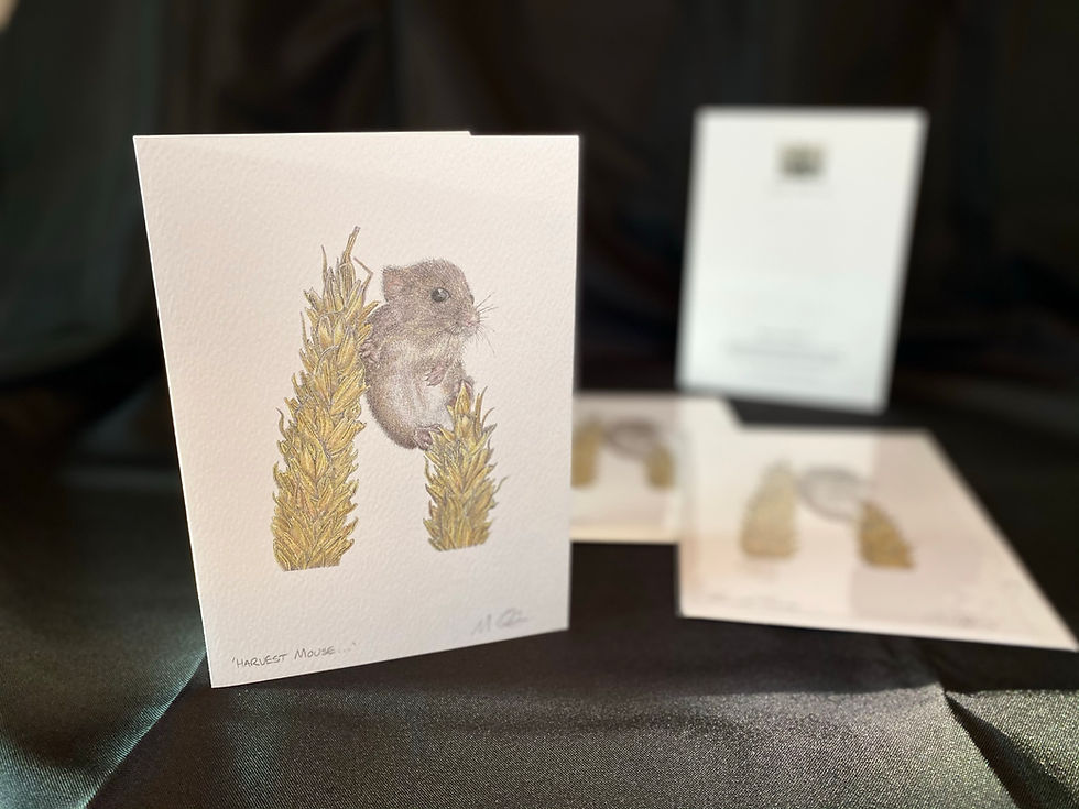 Thumbnail: 'Harvest Mouse...' Signed Greetings Card