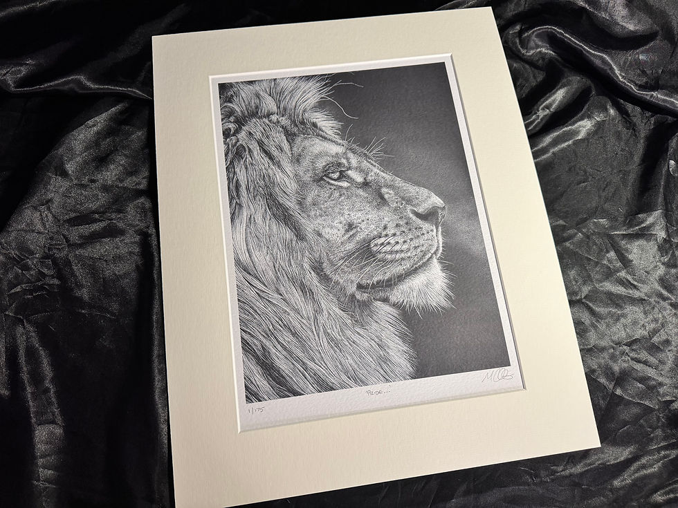 Thumbnail: 'Pride...' Signed Greetings Card
