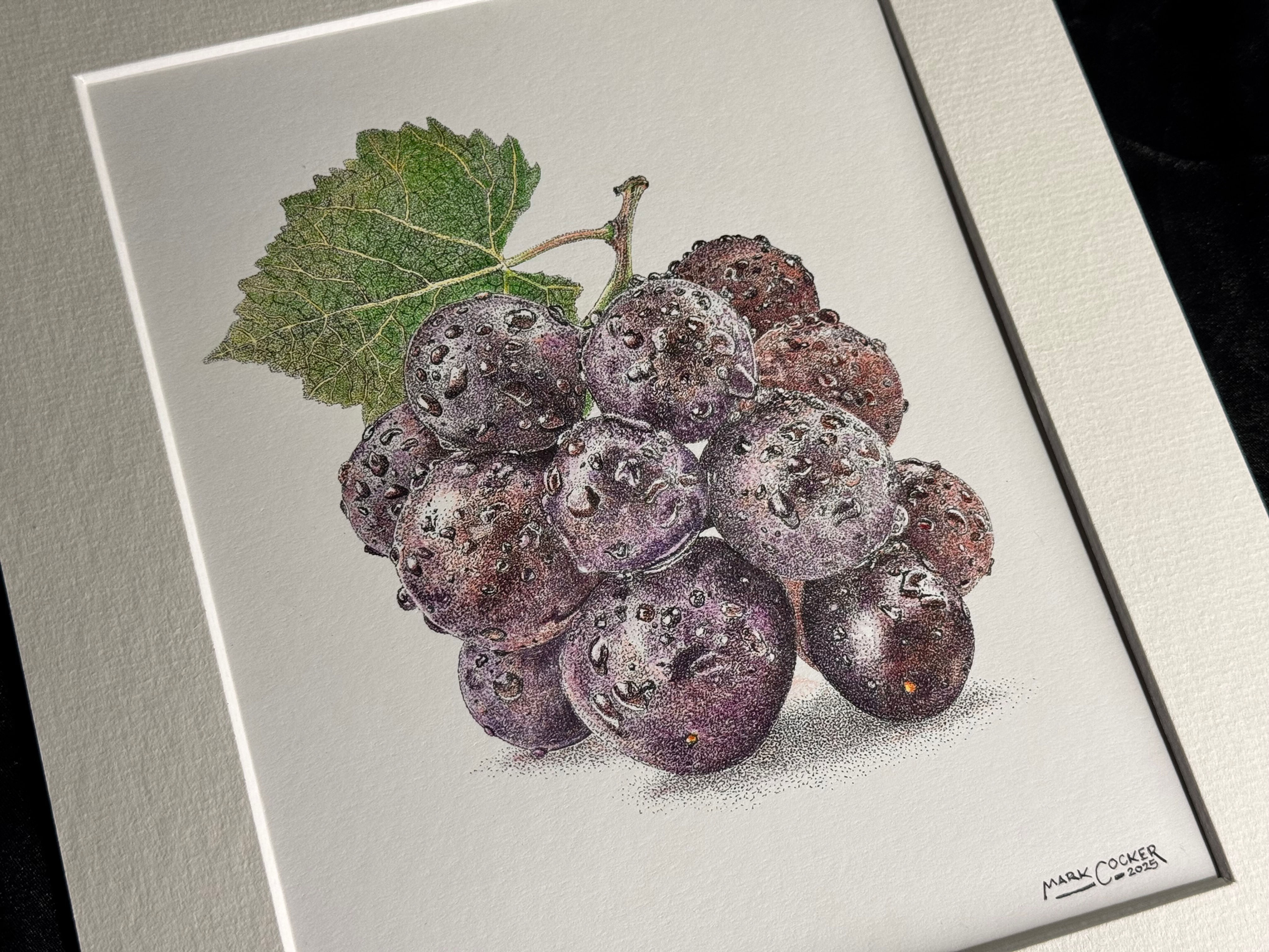 'Early Merlot...' Original from Mark Cocker Art