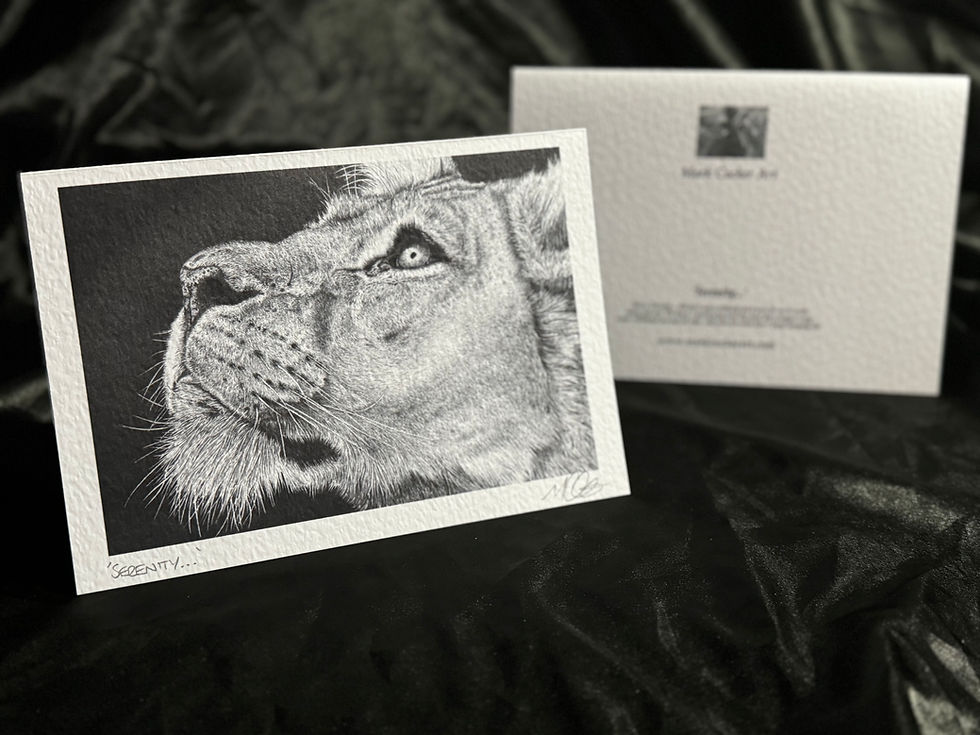 Thumbnail: 'Serenity...' - Limited Edition Print