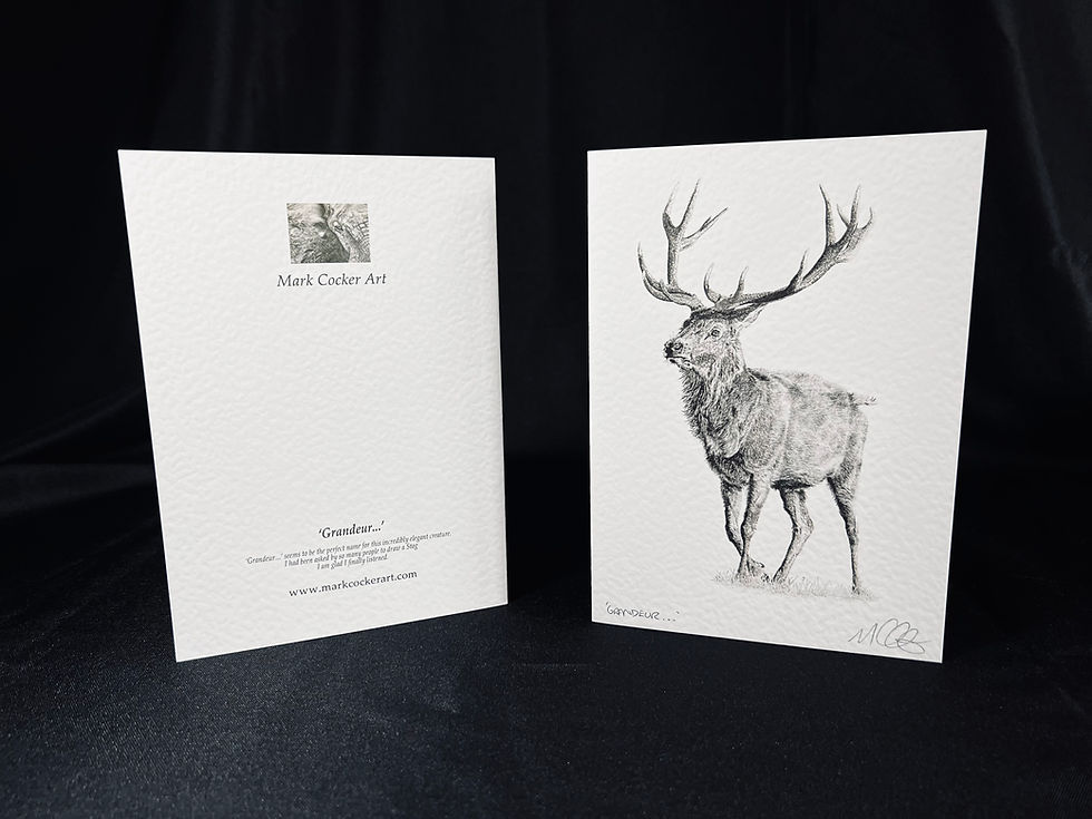 Thumbnail: 'Grandeur...' Signed Greetings Card