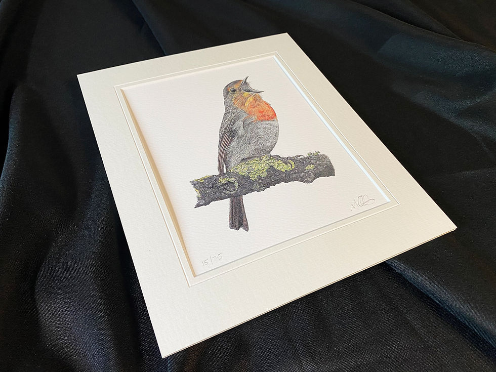 Thumbnail: Robin - Limited Edition Print
