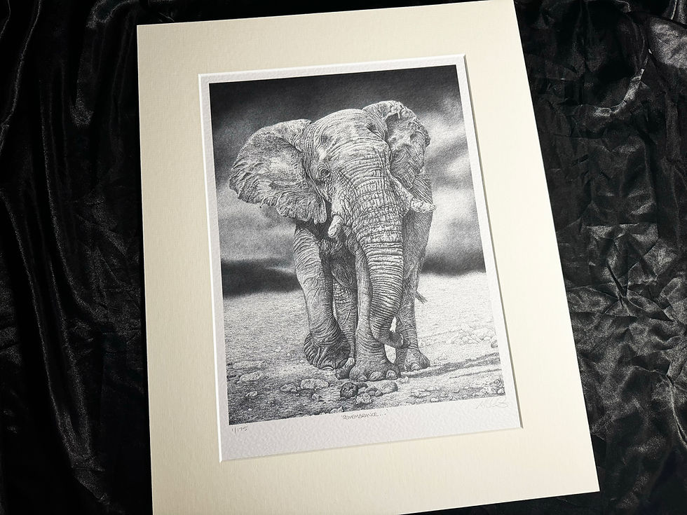 Thumbnail: 'Remembrance...' Signed Greetings Card