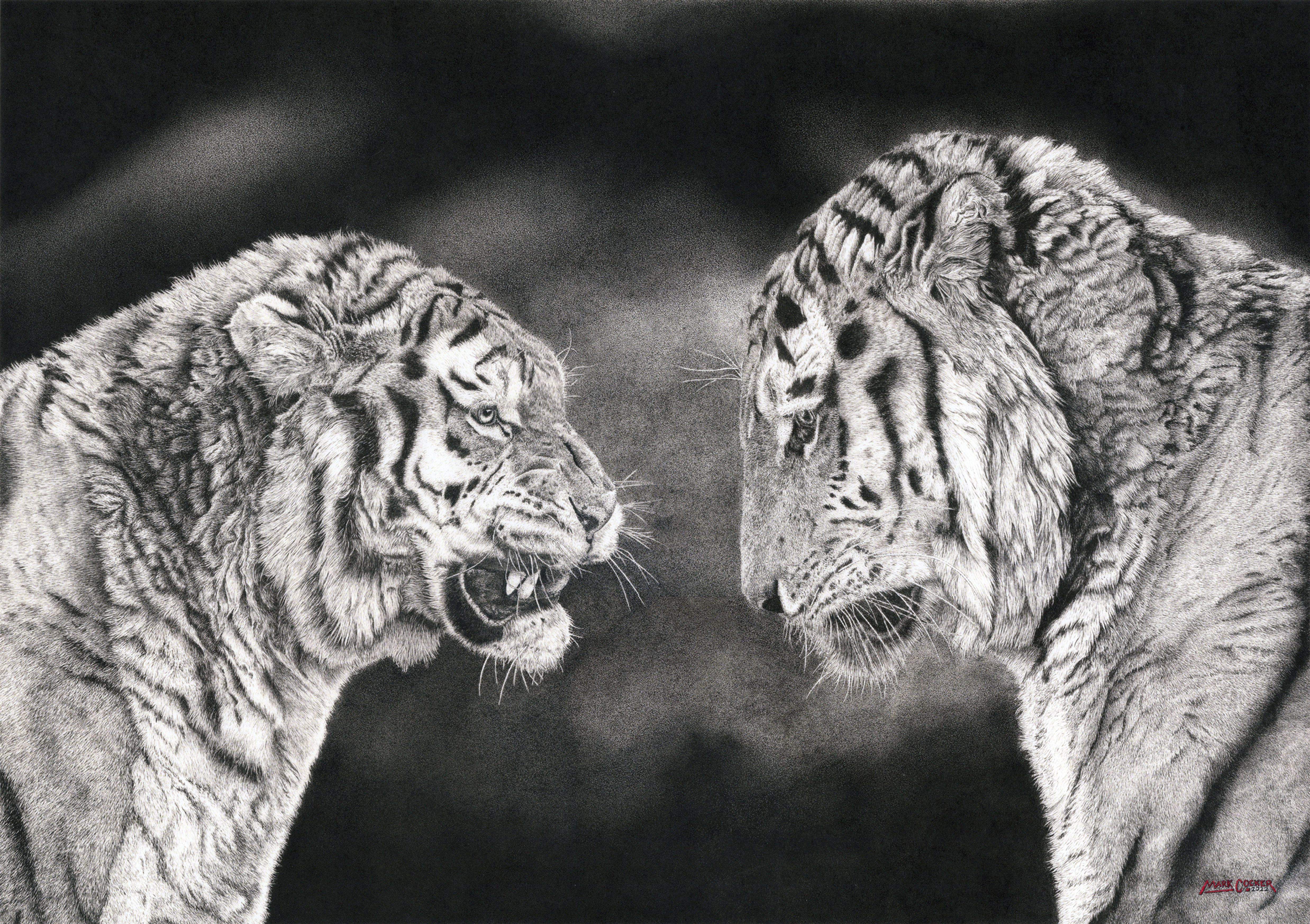 'Patience...' Limited Edition Print