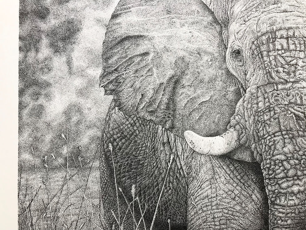 Thumbnail: 'Hopeful...' Limited Edition Print