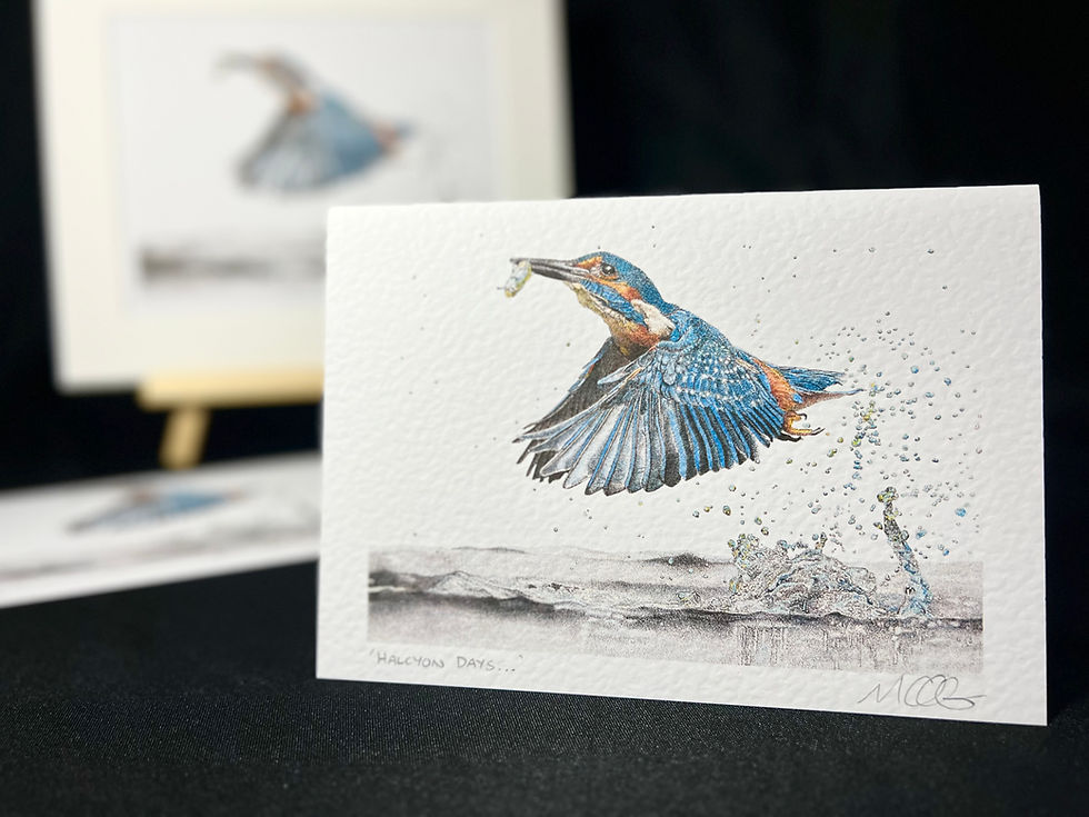 Thumbnail: 'Halcyon Days...' Signed Greetings Card