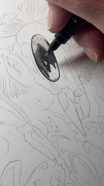 Thumbnail: 'Amber Nectar...' Limited Edition Print (Colour)