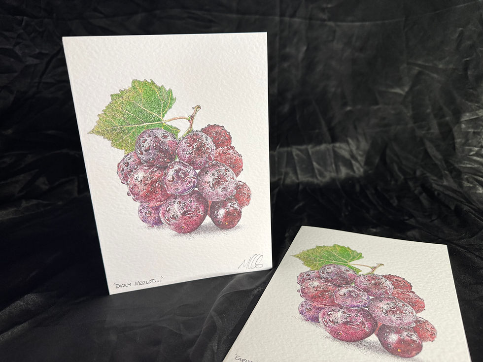 Thumbnail: 'Early Merlot...' Signed Greetings Card